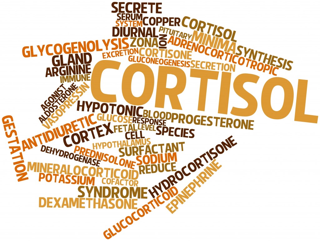 The Truth About Cortisol Lose Weight Fast Academy