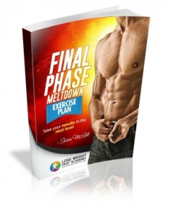 Final Phase Meltdown Exercise Plan 3d